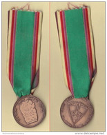 Vicenza GAF Guardia Alla Frontiera 1982 Medaglia Bronzo - Italia