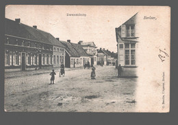 Berlaar / Berlaer - Zwanenburg - Uitg. G. Berckx, Berlaer - Geanimeerd - 1905 - Berlaar