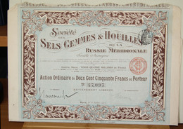 1911 Société Des Sels Gemmes & Houilles De La Russie Méridionale Action Ordinaire - Russland