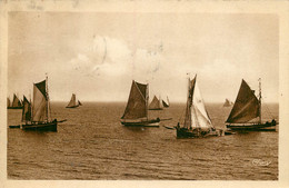 CAP FERRET LES VOILIERS CARTE SEPIA - Sonstige & Ohne Zuordnung