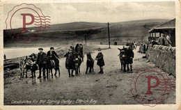 RPPC ETTRICK BAY ISLE OF BUTE  CANDIDATES FOR THE SPRING DERBY ANE DONKEY EZEL - Bute