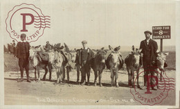 RPPC   CLACTON ON SEA DONKEYS   ESSEX    ANE DONKEY EZEL - Clacton On Sea