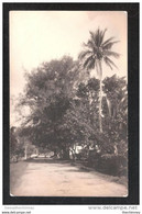 RP SHOWS HOUSES STREETSCENE COOK Islands Carte Photo By Sydney Hopkins Rarotonga - Cookeilanden