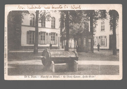 Diest  - Marché Au Bétail - Le Vieux Canon Dulle Griet - Diest