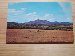 CPA Irlande Du Nord Mountains Of Mourne - Down