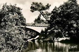 Contis Les Bains * Les Bords Du Courant * Pont Passerelle - Andere & Zonder Classificatie