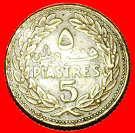 * FRANCE: LEBANON ★ 5 PIASTERS 1969 CEDAR! LOW START ★ NO RESERVE! - Líbano