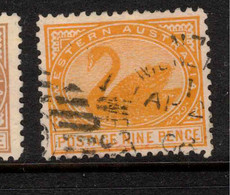 WESTERN AUSTRALIA 1905 9d Orange SG 145 U #APP08 - Oblitérés