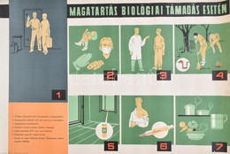 Cca 1950 Magatartás Biológiai Támadás Esetén, Propaganda Plakát. Bp., Belügyminisztérium Polgári Védelem Országos Paranc - Otros & Sin Clasificación