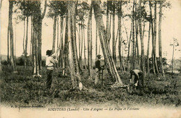 Soustons * La Pique Et L'amasse * Travail En Forêt Bois Bucherons - Soustons