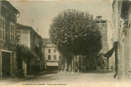 St Sever Sur L'adour * La Place Des Platanes * Arbre - Saint Sever