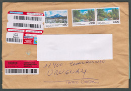 2020 Argentina Circulated Recommended Cover To Montevideo Uruguay - Tierra Del Fuego Mountains Landscape - Storia Postale