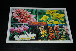 31982-                 FLORES DE MADEIRA /   FLEURS BLUMEN FLOWERS - Blumen