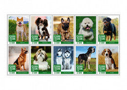 Sierra Leone 2020 Breeds Of Dogs Rottweiler German Shepherd Shih Tzu Siberian Husky Great Dane Beagle (SRL200436) MS MNH - Dogs