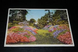 31987-                     NEL PARCO DELLA VILLA CARLOTTA, LAGO DI COMO, FLEURS BLUMEN FLOWERS FLORES - Fleurs