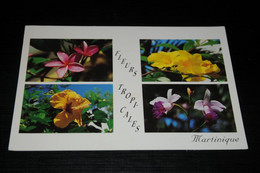 31989-                       MARTINIQUE, FLEURS TROPICALES, BLUMEN FLOWERS FLORES - Blumen