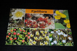 31992-                       NORSK FJELLFLORA, FLEURS BLUMEN FLOWERS FLORES - Blumen