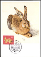 GERMANY (1967) Rabbit. Maximum Card With Thematic Cancel. Scott No B422, Yvert No 387. - Maximum Kaarten