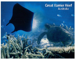 (YY 12) Australia (1 Postcard)  Great Barrier Reef - Tortoise & Manta Ray - Tortues
