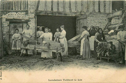 Types Et Scènes * Femmes Landaises Du Pays Teillant Le Lin * Métier Artisanat - Autres & Non Classés