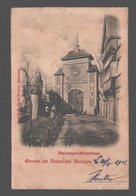 Bornem / Bornhem - Groeten Uit Buitenland - Kip Dorppoort Gildenkamer - 1902 - Bornem