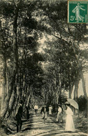 Les Moutiers En Retz * Le Bois Des Buffes * La Promenade - Les Moutiers-en-Retz