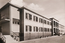 Cartolina - Istituto Immacolata Concezione - Loreto - 1955 Ca. - Ancona