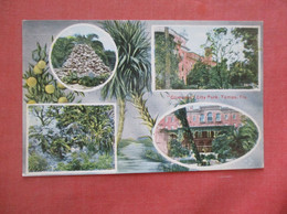 Glimpse Of City Park   Tampa   Florida     Ref 5103 - Tampa