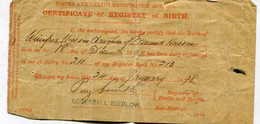 ROYAUME - UNI / UNITED KINGDOM - Sheffield : Ecclesall Bierlow - Certificate Of Registry Of Birth - 1898 - Sheffield