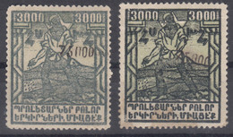 Armenia 1923 Mi#176 Mint Never Hinged/mint Hinged Pieces In Slightly Diff. Shades - Armenia