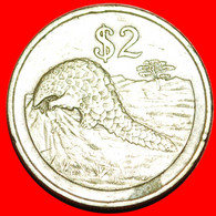 * ANTEATER: ZIMBABWE ★ 2 DOLLARS 1997! LOW START ★ NO RESERVE! - Simbabwe