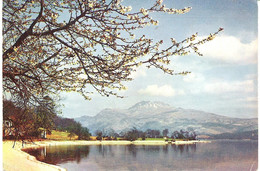 LOCH LOMOND AND BEN LOMOND, SCOTLAND. Circa 1956 USED POSTCARD Pv1 - Dunbartonshire