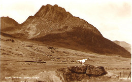 TRYFAN, CAPEL CURIG, CLWYD, WALES. UNUSED POSTCARD Pv9 - Caernarvonshire