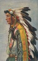 Indien Amerique Du Nord Hand Colored Chief Onondaga Indian Chief - América