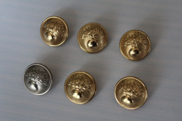 Lot De 6 Boutons Militaires Avec Grenade Diamètre 25 - Boutons