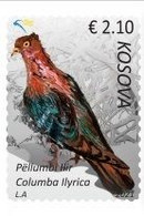 Kosovo MNH** 2021 Pigeon - Kosovo
