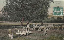 ***  ELEVAGE  ***  Moutons Et Oies En Pâturage TTBE - Breeding