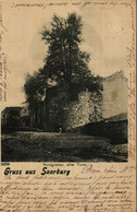 SARREBOURG Gruss Aus SAARBURG  Nordgraben, Alter Turm  Verlag Von G.Morin, Saarburg Nr 15229 - Sarrebourg