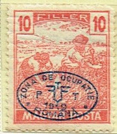 HUNGARY Ungarn Debreczin Debrecen 1919 Overprints Sc 2n28 M - Debrecen