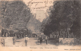 MEYRARGUES - Avenue Du Château - Attelage De Cheval, Ane, Mulet - Précurseur Voyagé 1903 - Meyrargues