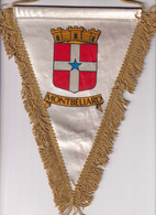 Fanion 1er Régiment D' Artillerie Montbéliard - Banderas