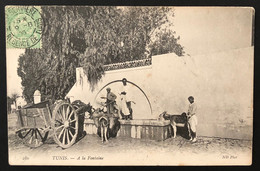 France Colonies Françaises Tunisie Carte De Tunis Avec N°22 5c Vert Obl Dateur Camp Servière/ Régence De Tunis Superbe ! - Covers & Documents