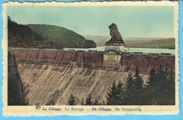 Barrage De La Gileppe-Lion-Jalhay-Baelen+/-1920-Construit Sous Le Règne De Léopold II Roi Des Belges-Phototypie A.Dohmen - Gileppe (Stuwdam)