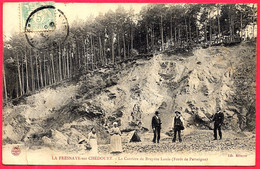 CPA 72 LA FRESNAYE-sur-CHEDOUET Sarthe - La Carrière De Bruyère Louis (Forêt De Perseigne) ° Lib. Métayer - La Fresnaye Sur Chédouet