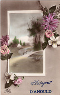 UN BONJOUR D'ANOULD. Carte Avec Paysage Et Fleurs - Anould