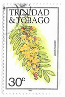 Trinidad & Tobago 30 ¢. Mi:TT 484VII - Trinité & Tobago (1962-...)