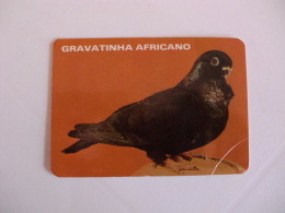 Birds Pigeon Pombo Gravatinha Africano Portugal Portuguese Pocket Calendar 1986 - Petit Format : 1981-90