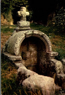 Tregunc La Fontaine Saint Philibert 1971    CPM Ou CPSM - Trégunc