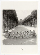 CPM  ROBERT DOISNEAU  -      LES CHAISES DU PALAIS ROYAL EN 1950   -   ALIGNEE D ENFANTS - Doisneau