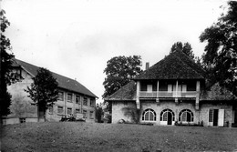 Charbonnières Les Sapins * La Colonie De Vacances Des Sapins - Otros & Sin Clasificación